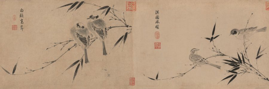 ZhaoJi007-Sketch-of-Birds-Full